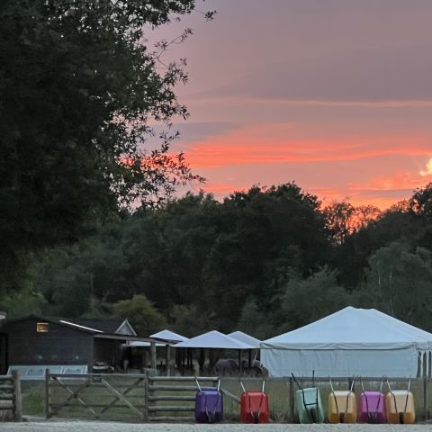 A therapeutic, glowing pastel pink, orange, purple and blue coloured sunset at twilight, over the woodland