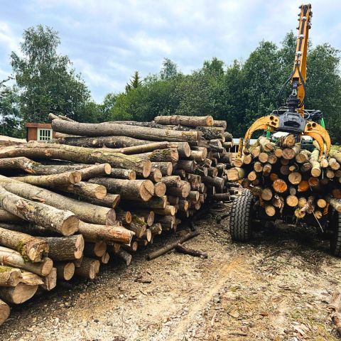 A busy local woodyard with a large pile of freshly cut cord for turning into logs. Copyright M Postlethwaite, Wolford Wood, All Rights Established 2024