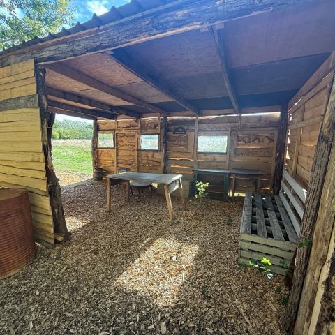 An outdoor, wooden shack with seating and a table, at the edge of the woods, in the sun