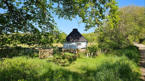 Whimsical pastel blue cabin that resembles a scene from a J.R.R. Tolkien story.